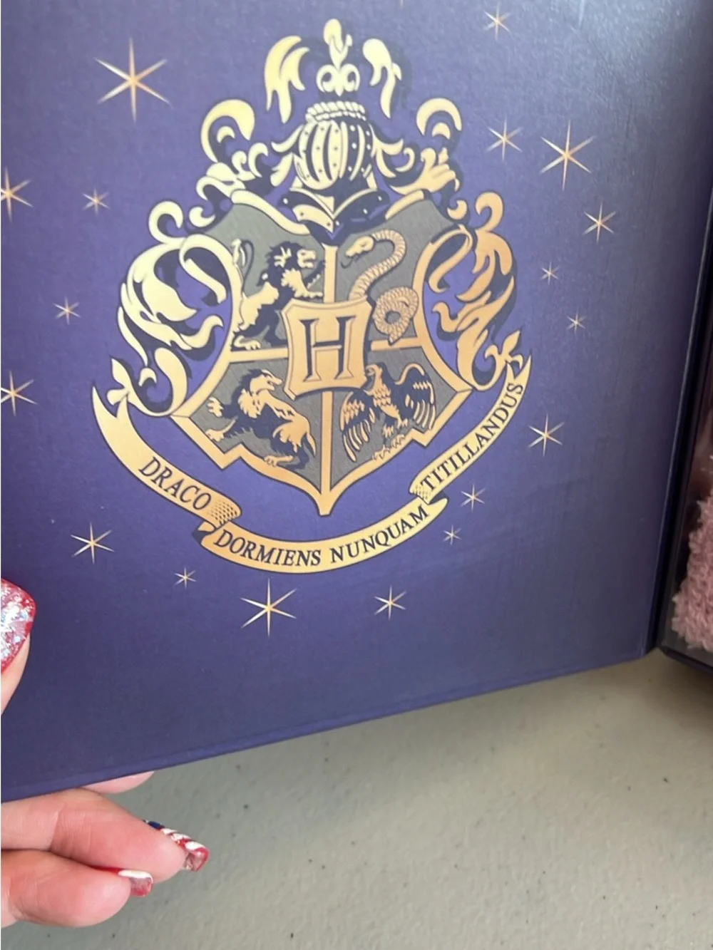 Harry Potter and Wicked Snow Globe Display Set - Purple & Black